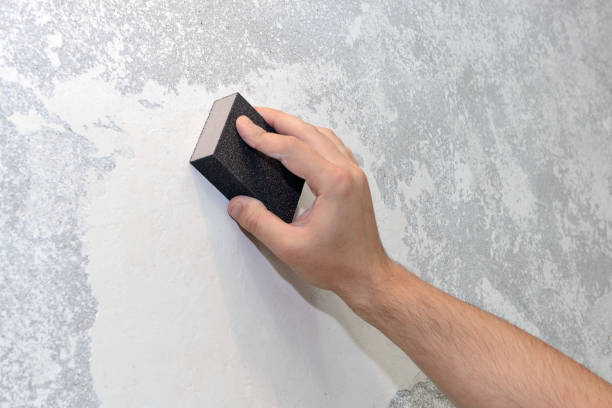 Best Black Mold Removal  in Harb, OR