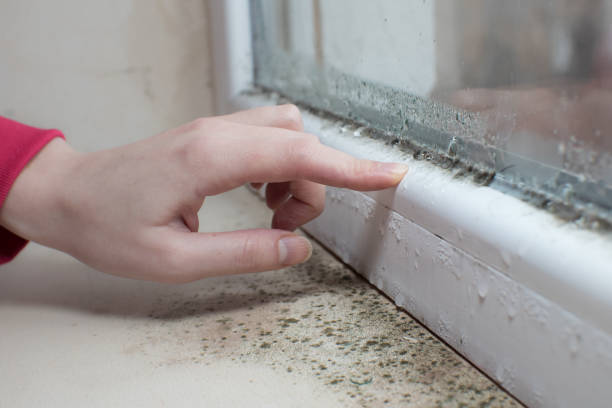 Best Biohazard Mold Removal  in Harb, OR