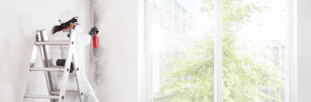 Best Mold Prevention Services  in Harb, OR